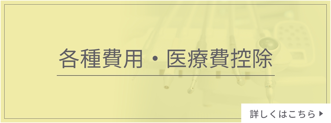 各種費用・医療費控除